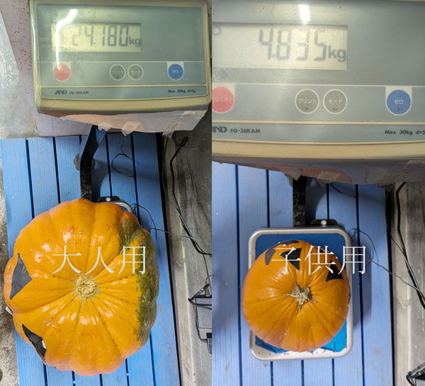 おばけカボチャ重さ当て正解発表｜新着情報｜レンブラントホテル東京町田【公式】